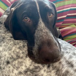 Meet your Posher, Todd